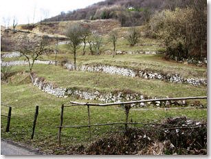 Prati terrazzati  nella zona di Pamparato