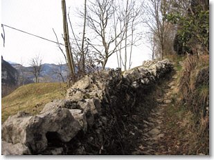 Un tratto della Strada Taverna appena sopra Pratonuovo