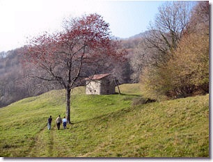 Passeggiando tra   verdi pascoli , casolari, stalle, fienili di BARONCELLA