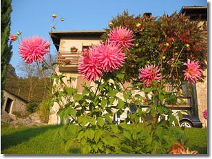 Fiori, colori a Ca' Zanardi