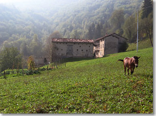 Il c ascinale di Foppa-Sussia