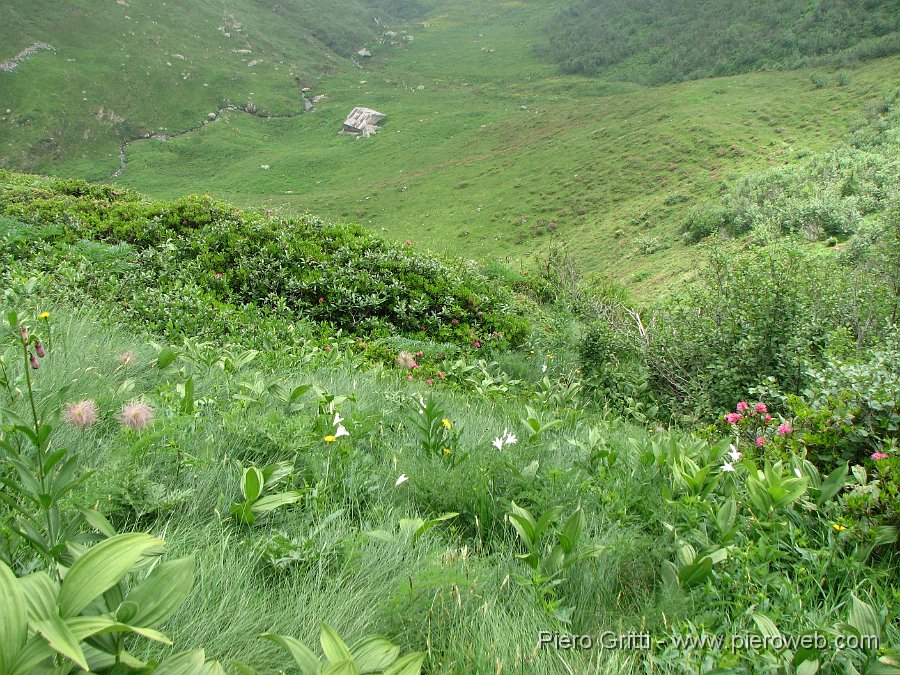 IMG_0935.JPG - Vista sulla verdeggiante solitaria alta Val Serrada