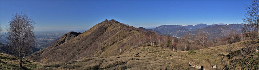 Il Monte Costone cosparso di tante bianche betulle