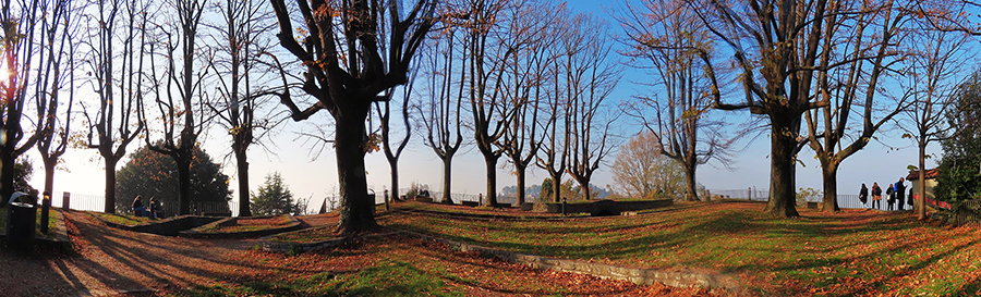 Parco del Castello di San Vigilio