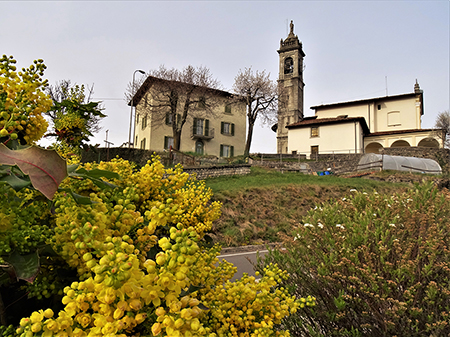 Da Miragolo S.Marco al Santuario del Perello sul sent. 514-10apr23 - FOTOGALLERY