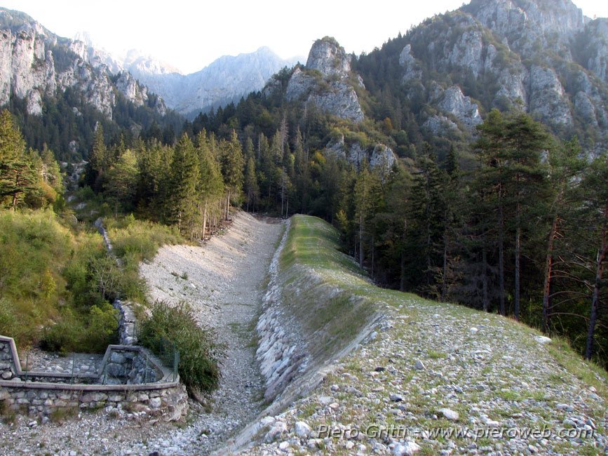 02_118_1.jpg - 03 - Si sale lungo l'argine al termine del quale ci si inoltra nel bosco