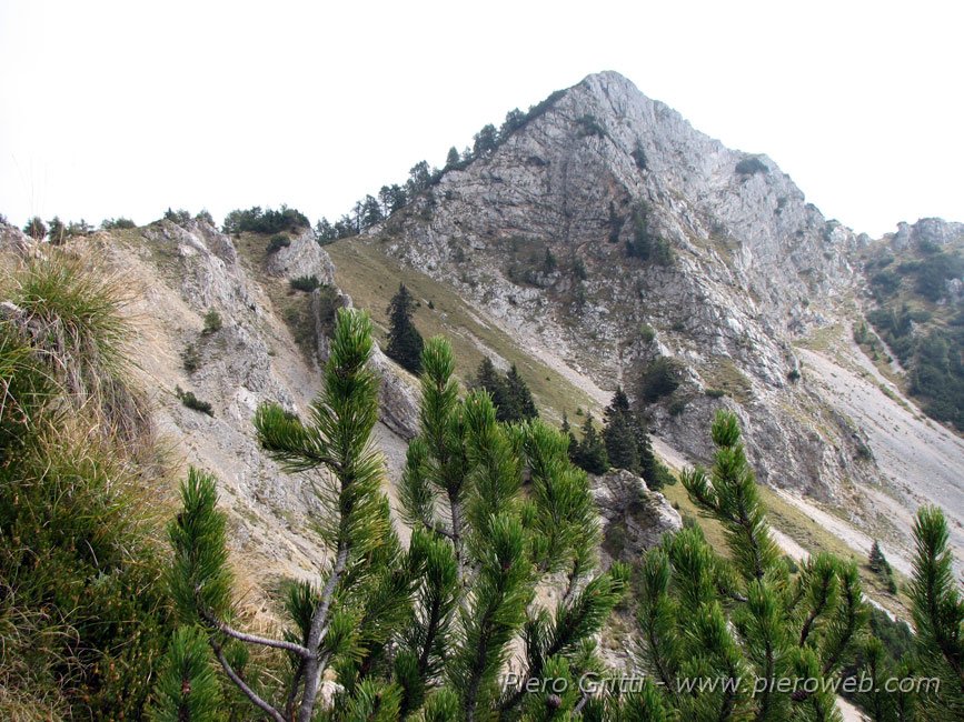 20_badile.jpg - 24 - La cima piramidale del Pizzo Badile (2044 m.)