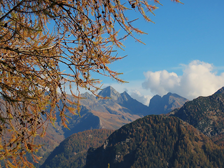 PIZZO BADILE (2044 m) ad anello colorato d’autunno da Piazzatorre-28ott24- FOTOGALLERY