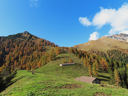 PIZZO BADILE (2044 m) ad anello colorato d’autunno da Piazzatorre-28ott24- FOTOGALLERY