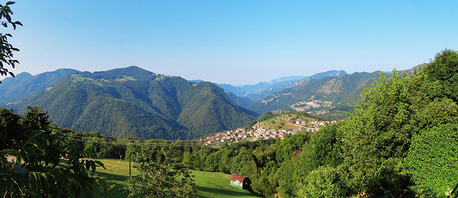 Sul Monte Suchello (1541 m) da Costa Serina - 28ag24