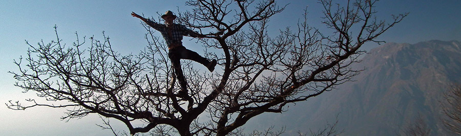 Pasquale dalla croce arrampica sulla pianta !