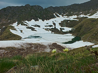 Anello della Val Asinina dal Passo del Vivione l’11 giugno 2014 - FOTOGALLERY