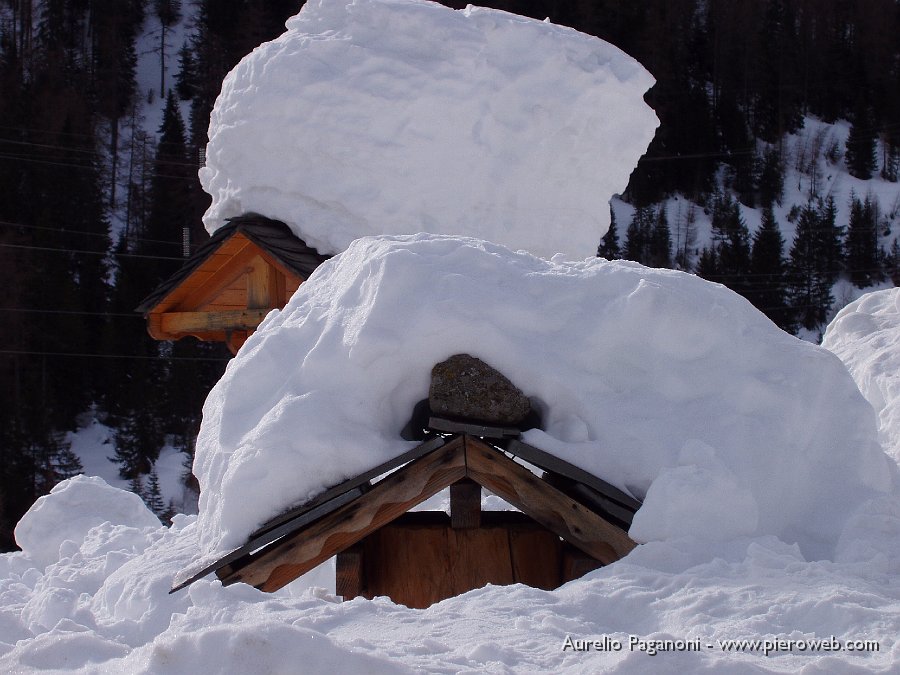 Particolare.JPG - Cappelli di neve