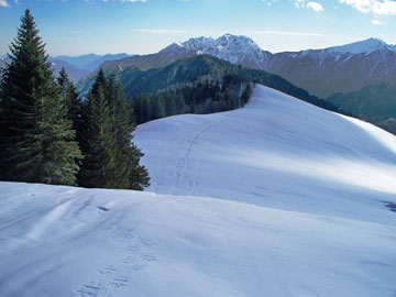 Salita alle Cime di Barbignaga 2368 m (Val Camonica) il 27 febbraio 2010 - FOTOGALLERY