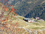 VEDI IN GRANDE - Il Rifugio Dordona in Val Madre